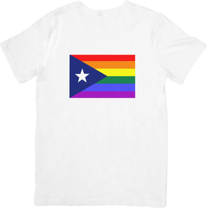 Puerto Rico Pride Flag